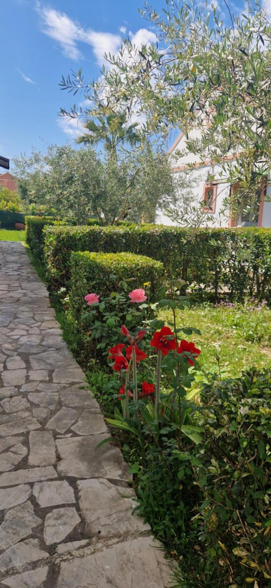 Corfu Studio 4U Roda  Bagian luar foto